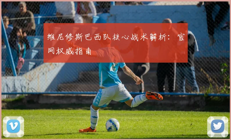维尼修斯巴西队核心战术解析：官网权威指南