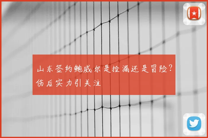 山东签约鲍威尔是捡漏还是冒险？伤后实力引关注